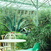 Potager Garden Constantine