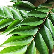 Curry Leaf