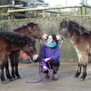Exmoor Pony Centre