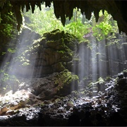 Parque Nacional De Las Cavernas Del Río Camuy