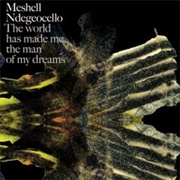The World Has Made Me the Man of My Dreams (Meshell Ndegeocello, 2007)