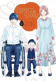 Perfect World Vol. 12 (Rie Aruga)