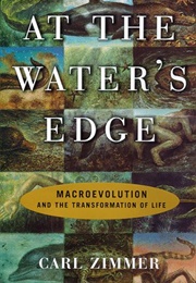 At the Waters' Edge: MacRoevolution and the Transformation of Life (Carl Zimmer)
