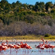Parque Nacional Jaragua, Dominican Republic