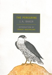 The Peregrine (J. A. Baker)