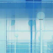 Should - The Great Pretend