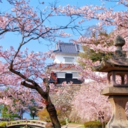 Omura City, Nagasaki