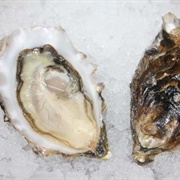 Eagle Rock Oysters