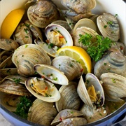 Wedge Clam (Donax Trunculus)