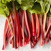 Rhubarb