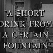 A Short Drink From a Certain Fountain