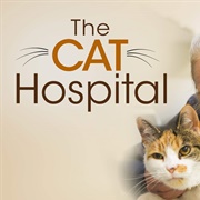 Cat Hospital