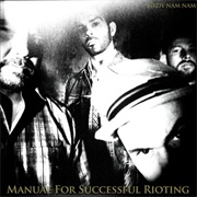 Birdy Nam Nam - Manual for Successful Rioting