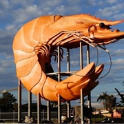 The Big Prawn