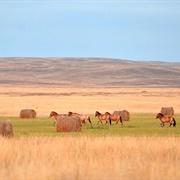 Verkhnenovokutlumbetyevo, Russia