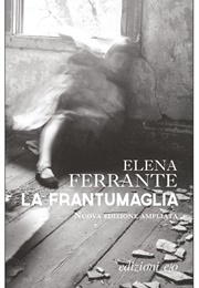 La Frantumaglia (Elena Ferrante)
