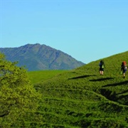 Morgan Territory Regional Preserve