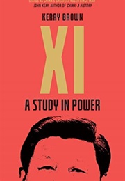 Xi: A Study in Power (Kerry Brown)