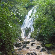 Chorro El Macho, Panama