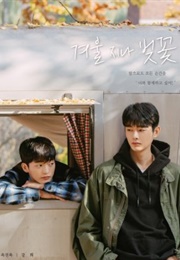 Cherry Blossoms After Winter (2022)