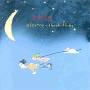 Eels - My Descent Into Madness