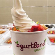 Frozen Yogurt