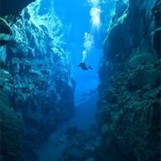 Snorkel Between Continents at Thingvellir National Park