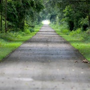 Nature Coast State Trail