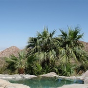 Guadalupe Canyon Hot Springs, Mexico