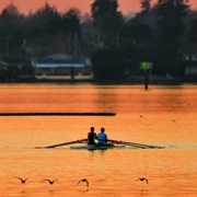Martin Luther King Jr. Regional Shoreline