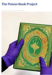 Rustic Adornments for Homes of Taste (And Other Poison Books) (Shirley Hibberd)