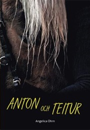 Anton Och Teitur (Angelica Öhrn)