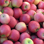 Pink Lady Apples