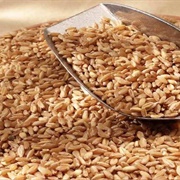 Bhalia Wheat