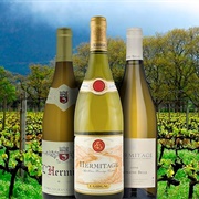 Hermitage Blanc