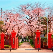 Gakushuin Women's College, Tokyo