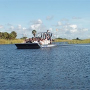 Airboat Ride (But No Alligators Sighted)