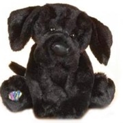Lil Kinz Black Lab