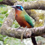 Adventure Farm and Nature Reserve (Tobago), Trinidad & Tobago