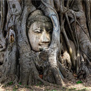 Wat Mahathat, Ayutthaya, Thailand