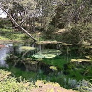 Kimberley Warm Springs, Tasmania, Australia
