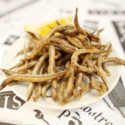 Mediterranean Sand Eel (Gymnammodytes Cicerelus)