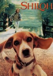Shiloh (1997)