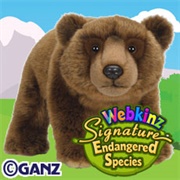 Signature Endangered Brown Bear