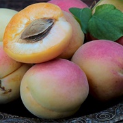 Armenian Apricot