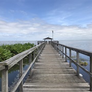 Winter Garden, Florida