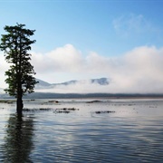 Ira Lalaro Lake
