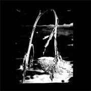 Pink Reason - Cleaning the Mirror