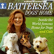 Battersea Dogs' Home