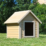 Doghouse